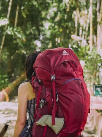 Backpacker (photo: Suhyeon Choi, Unsplash).