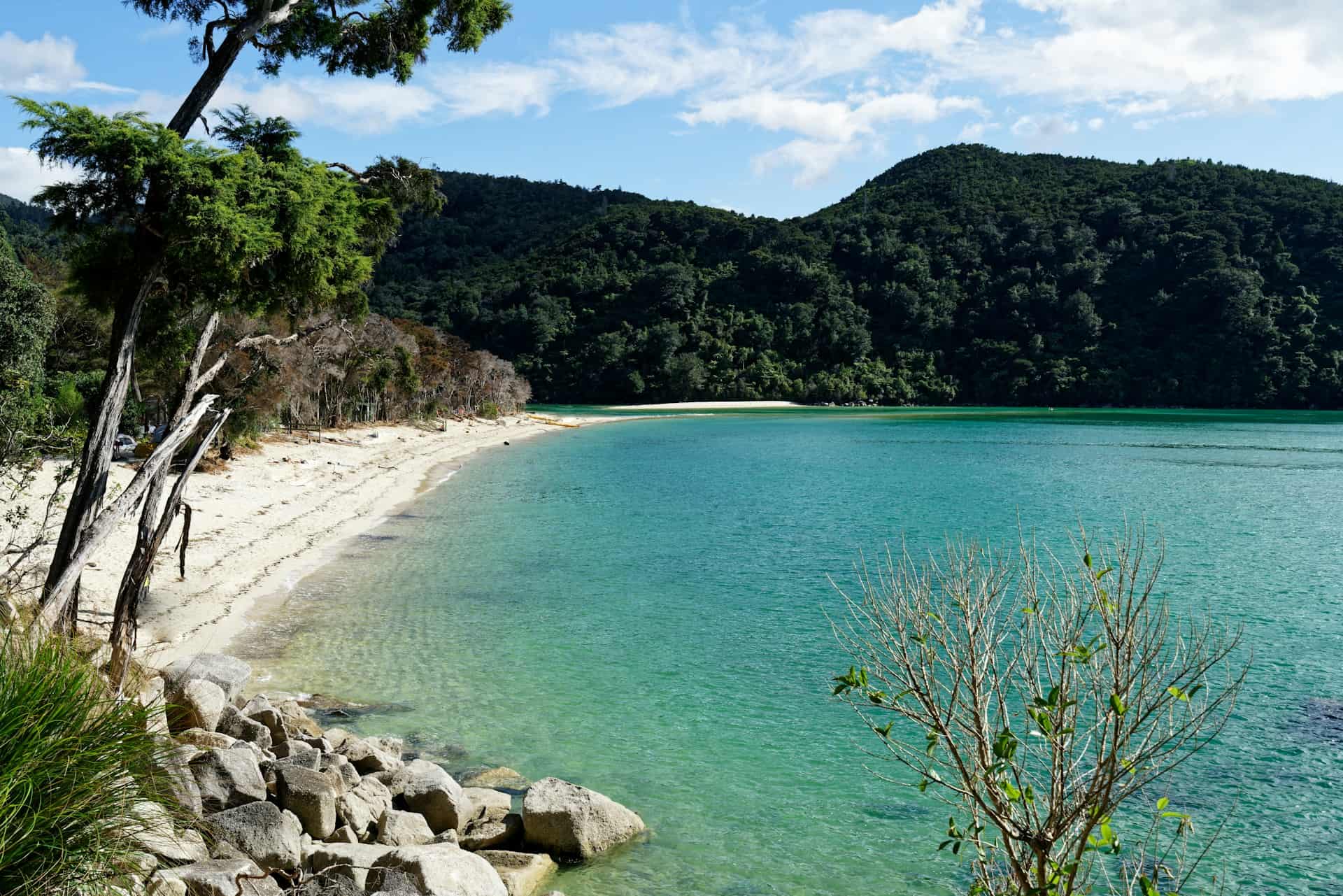 A pretty beach in Abel Tasman National Park, location of one of the best hiking trails in New Zealand (photo: Colin Watts, Unsplash).
