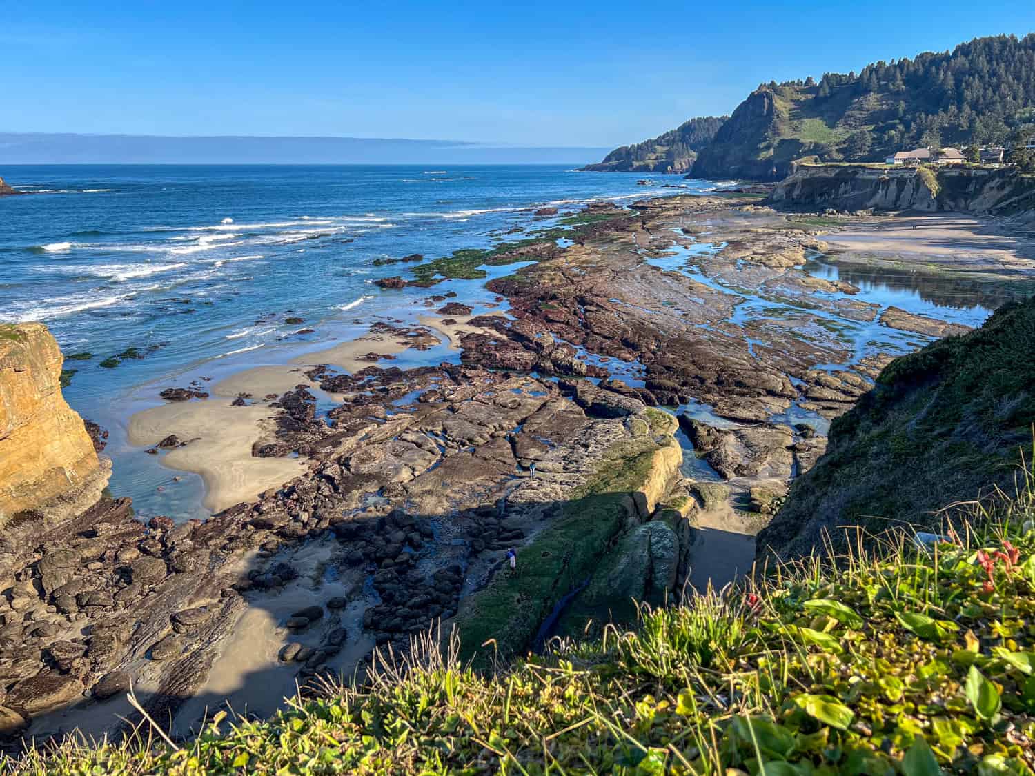 Otter Crest Beach at low tide.