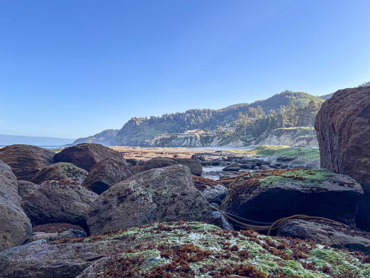 The Inn at Otter Crest is visible on a bluff overlooking Otter Crest Beach.
