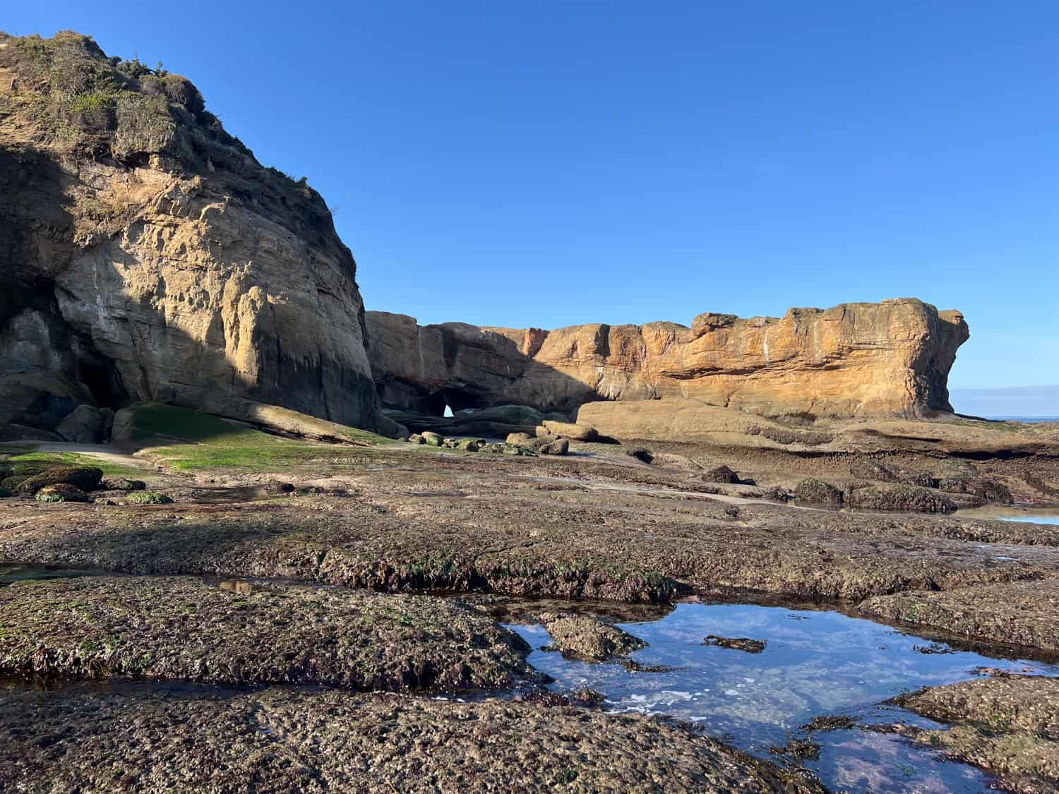 Otter Crest Beach tide pools.
