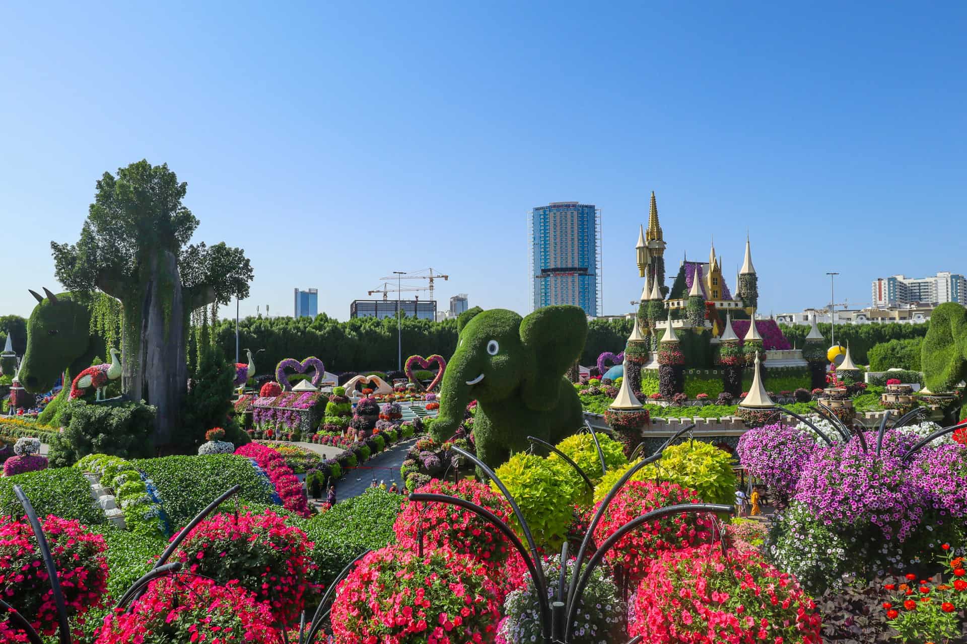 The Dubai Miracle Garden is perfect for solo travelers seeking a quiet walk (photo: Yasara Hansani, Unsplash).