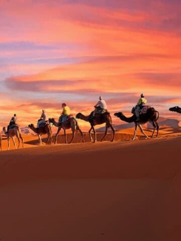 A camel caravan in the Sahara at sunset (photo: Nisangha, iStock).