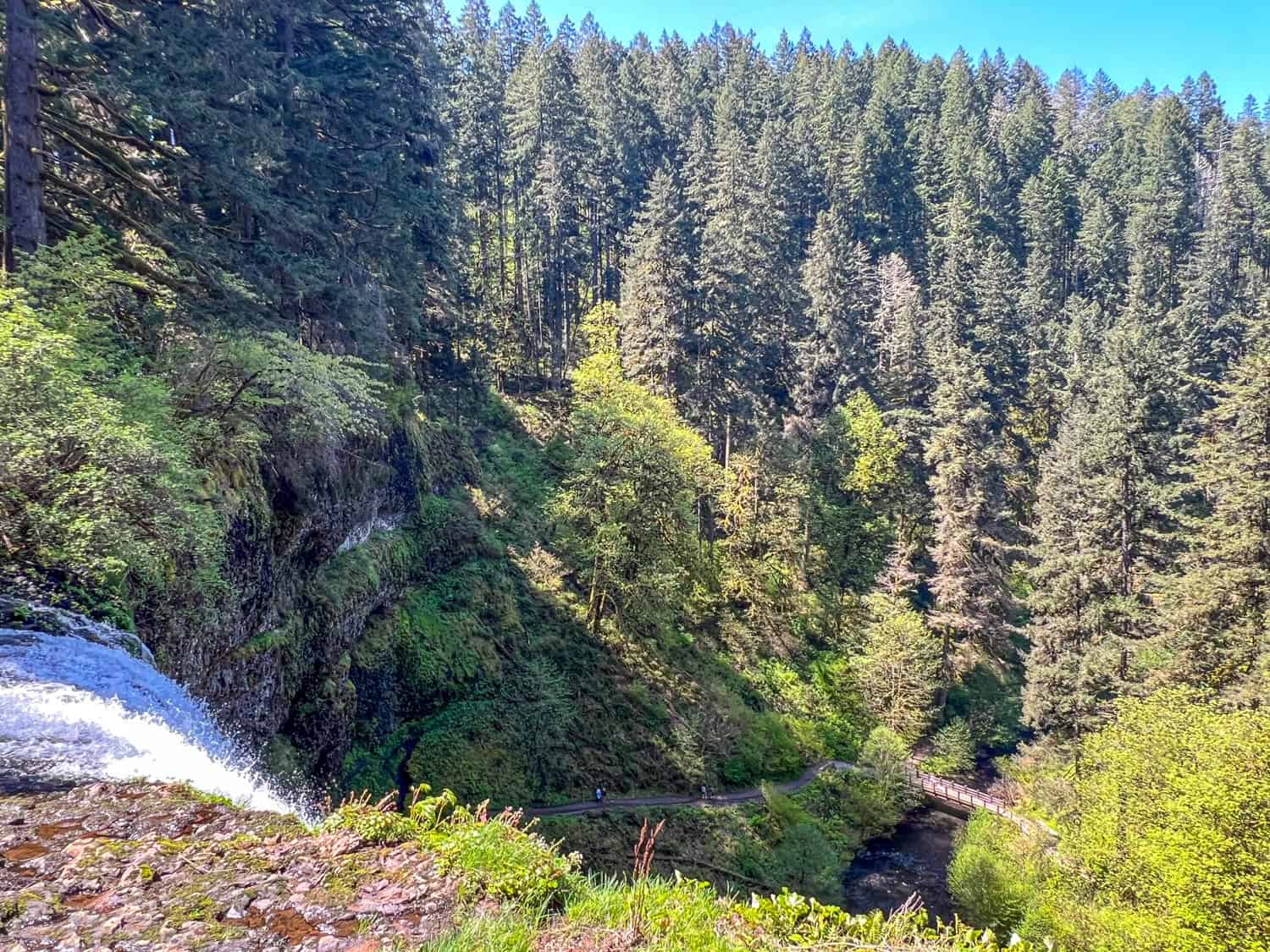 View of South Falls from above.