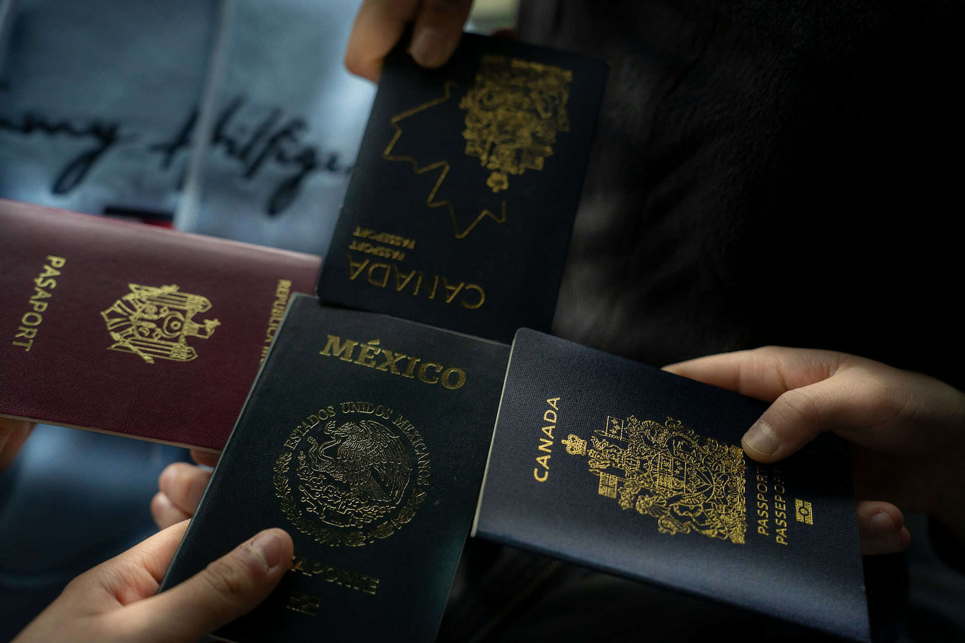 An official passport is vital for completing international travel paperwork (photo: Annie M, Unsplash).