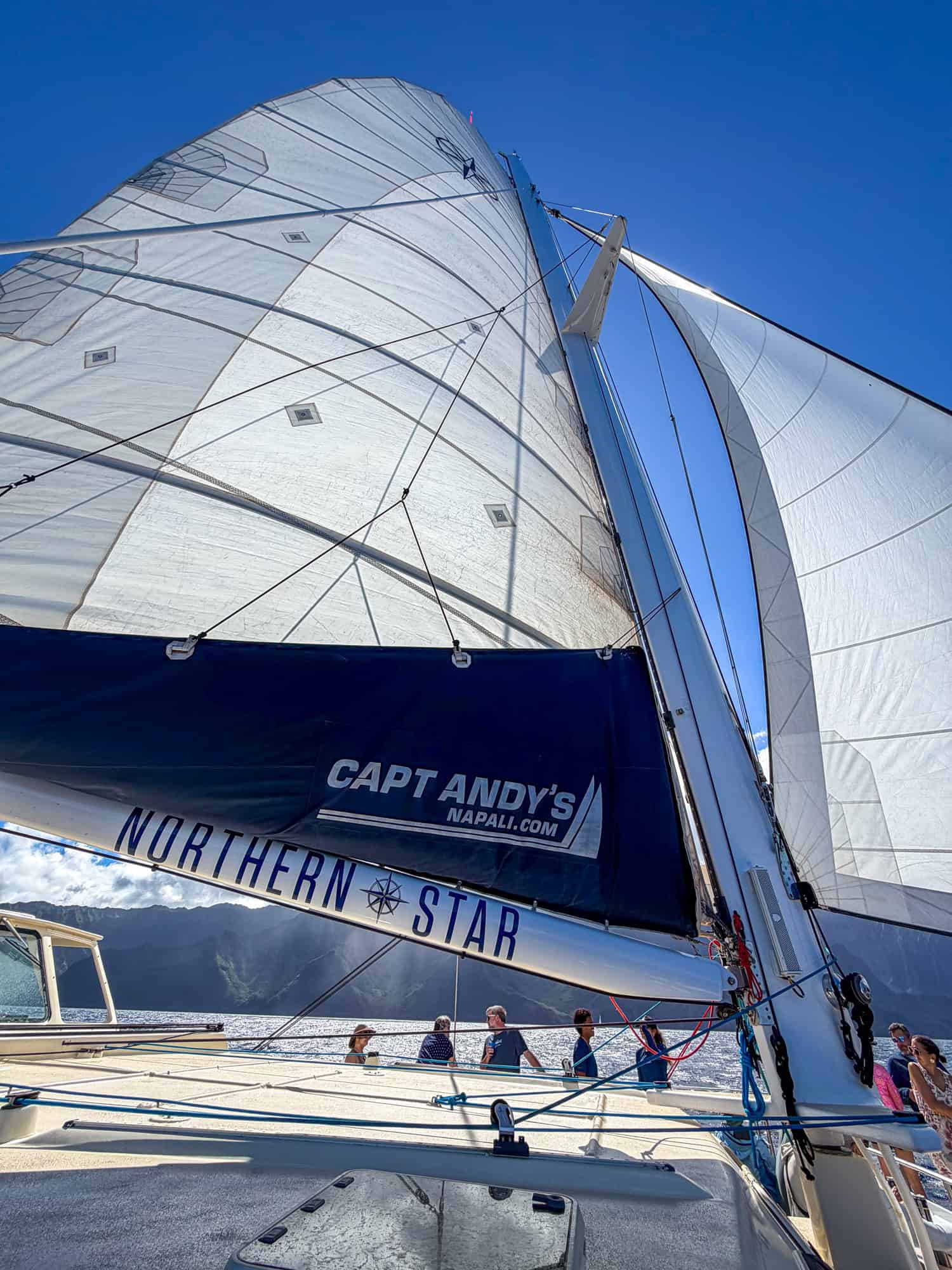 Sailing aboard Capt Andy's Northern Star.