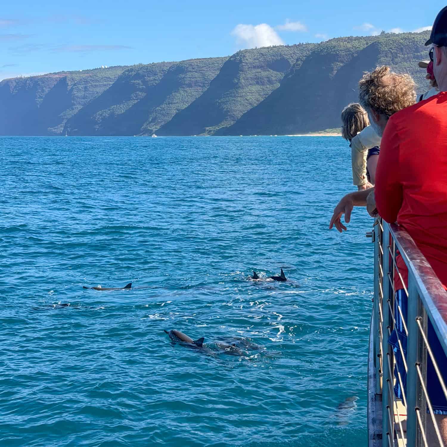 Watching spinner dolphins on a Na Pali Coast cruise.
