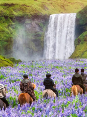 Horseback riding tour at Skogafoss Waterfall in Iceland (photo: Blue Planet Studio, iStock).