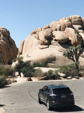 Driving in Joshua Tree National Park, one of the popular day trips from Los Angeles (photo: Anna Galimova).