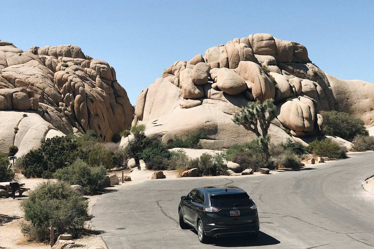 Driving in Joshua Tree National Park, one of the popular day trips from Los Angeles (photo: Anna Galimova).