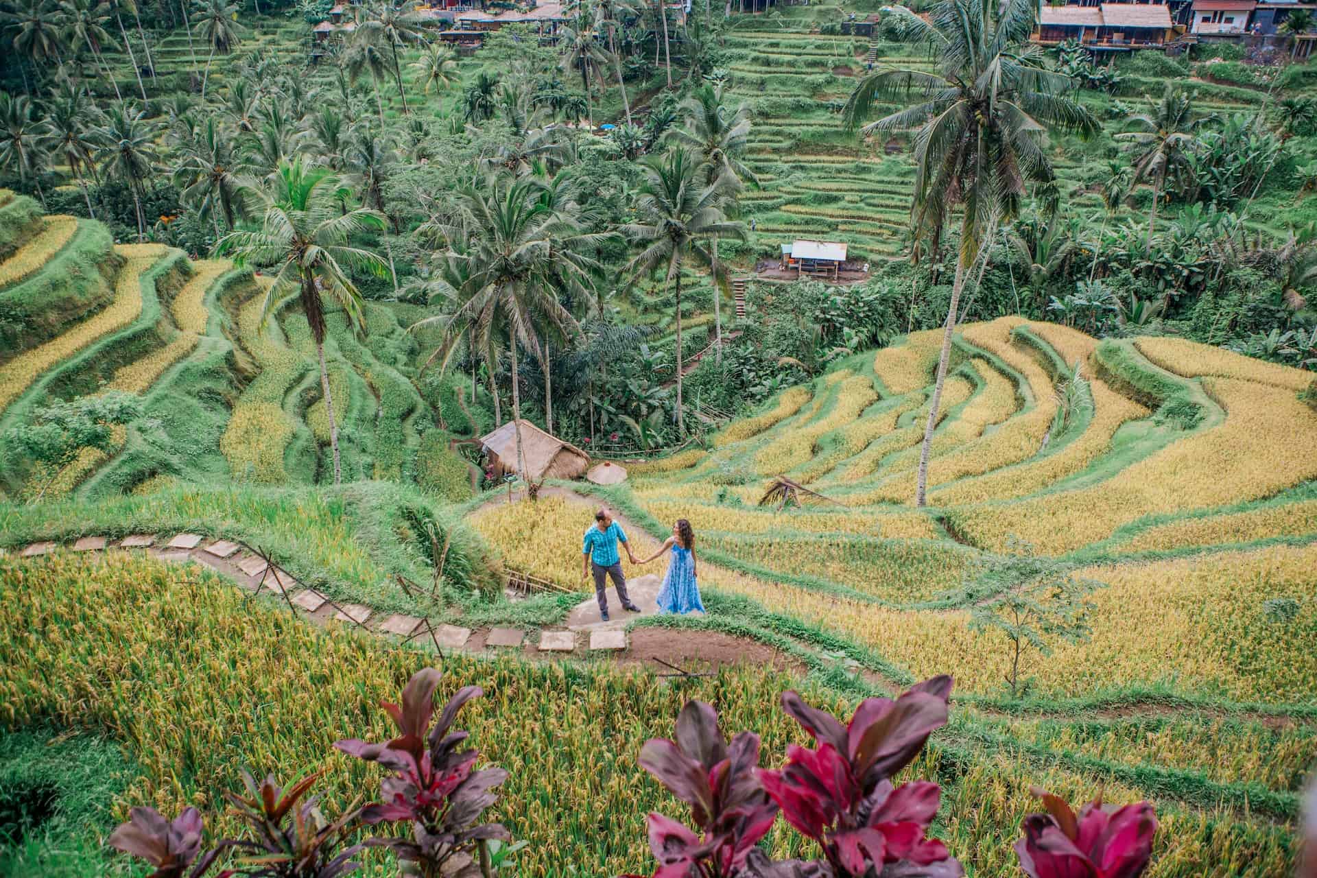 Sustainable Tourism in Bali: What's Changing for Travelers