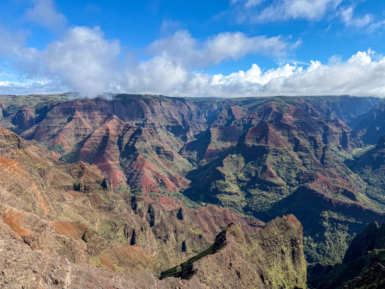 Waimea Canyon panorama Kauai