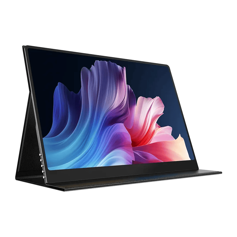 Portable monitor