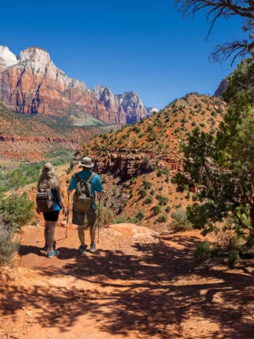 Hikers walking along a scenic trail in Zion National Park
