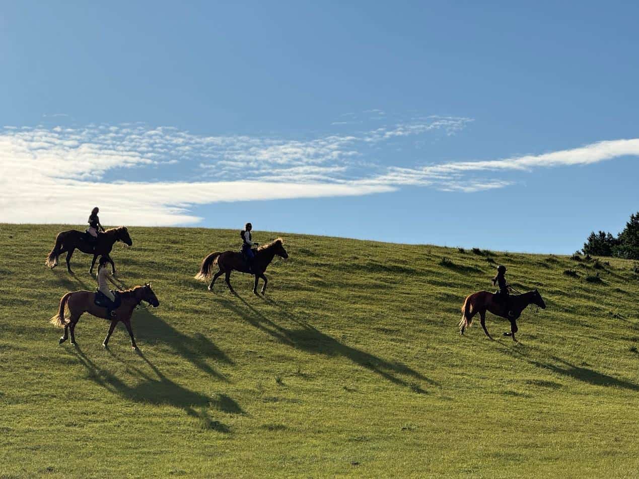 Horseback riders crossing grassy hills near Beijing during a guided outdoor riding experience