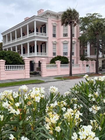 Pink Charleston home with white piazzas, palmetto trees, and flowering shrubs.