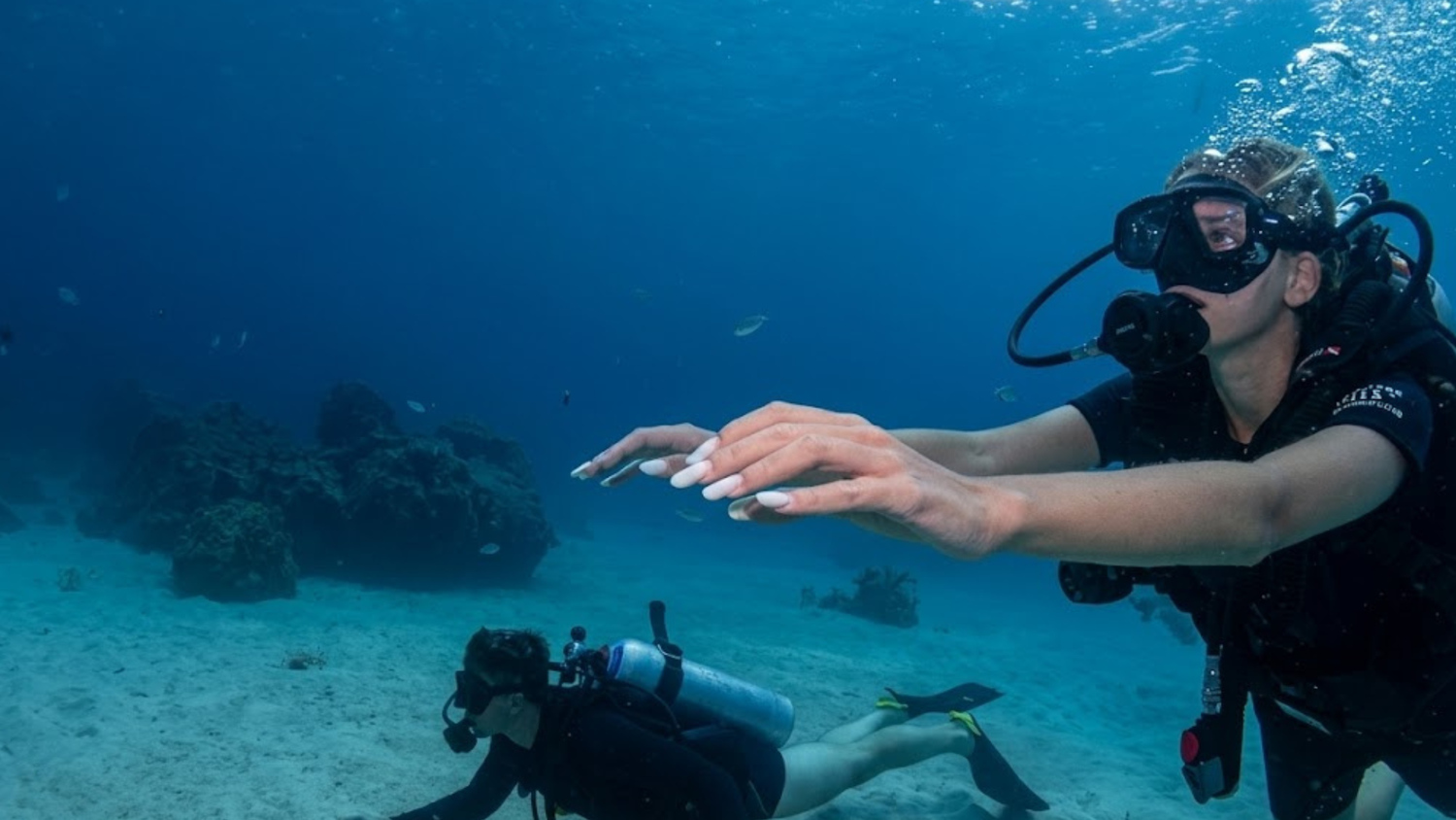 Two scuba divers practicing buoyancy control above a sandy seabed in Koh Tao.