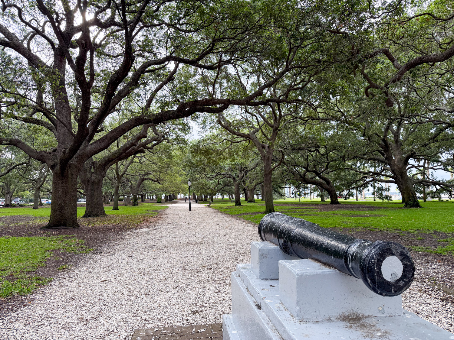 Cannon beside a walking path beneath live oak trees in Charleston's White Point Garden.