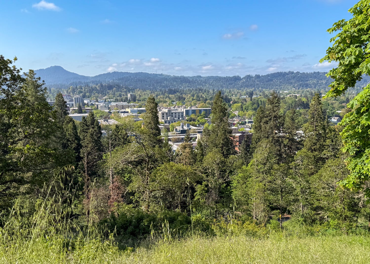 View of Eugene, Oregon, and surrounding wooded hills from Skinner Butte.