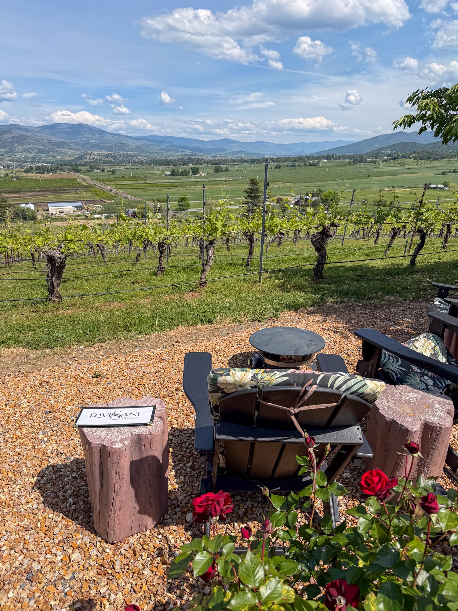 Outdoor chairs overlooking vineyard rows and mountains at Ravissant Cellars in Oregon's Rogue Valley.